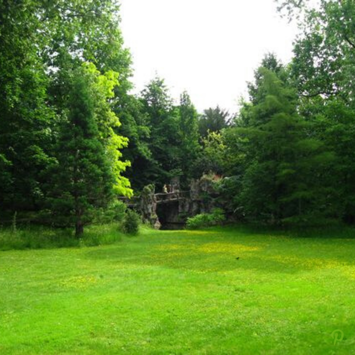 Mantenimiento de Jardines