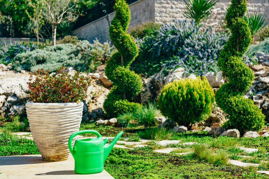 Tareas básicas para mantener el jardín
