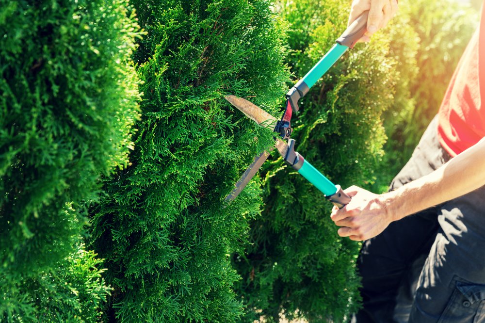 La importancia de un jardinero en tu comunidad
