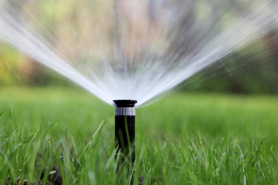 ¿Cómo ahorrar en el riego del jardín?