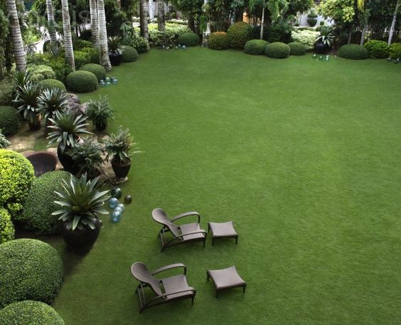 Consejos para mantener tu jardín siempre bonito