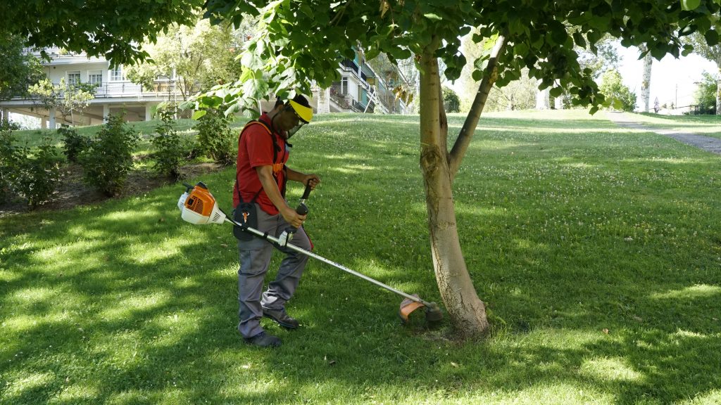 Jardín limpio Limpieza de jardines