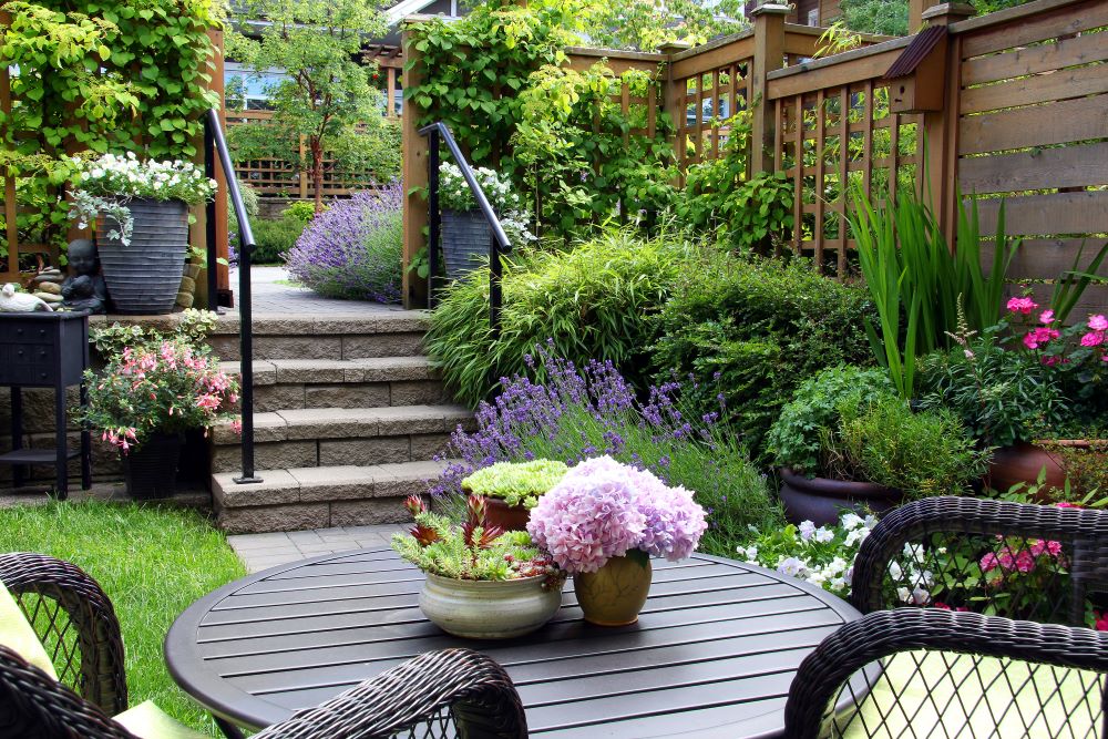 Las flores y plantas resistentes al calor