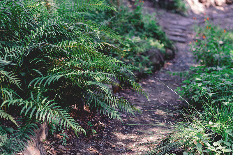 Caminos y suelos de jardín